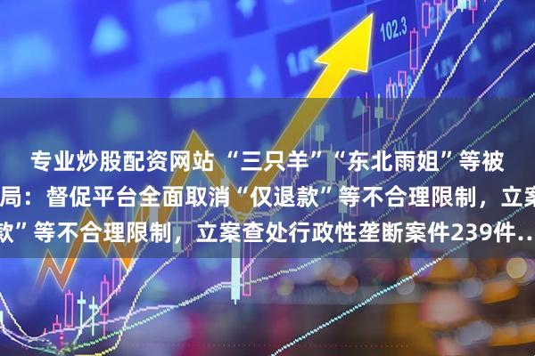 专业炒股配资网站 “三只羊”“东北雨姐”等被点名！国家市场监管总局：督促平台全面取消“仅退款”等不合理限制，立案查处行政性垄断案件239件……